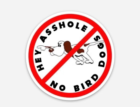 No bird dogs